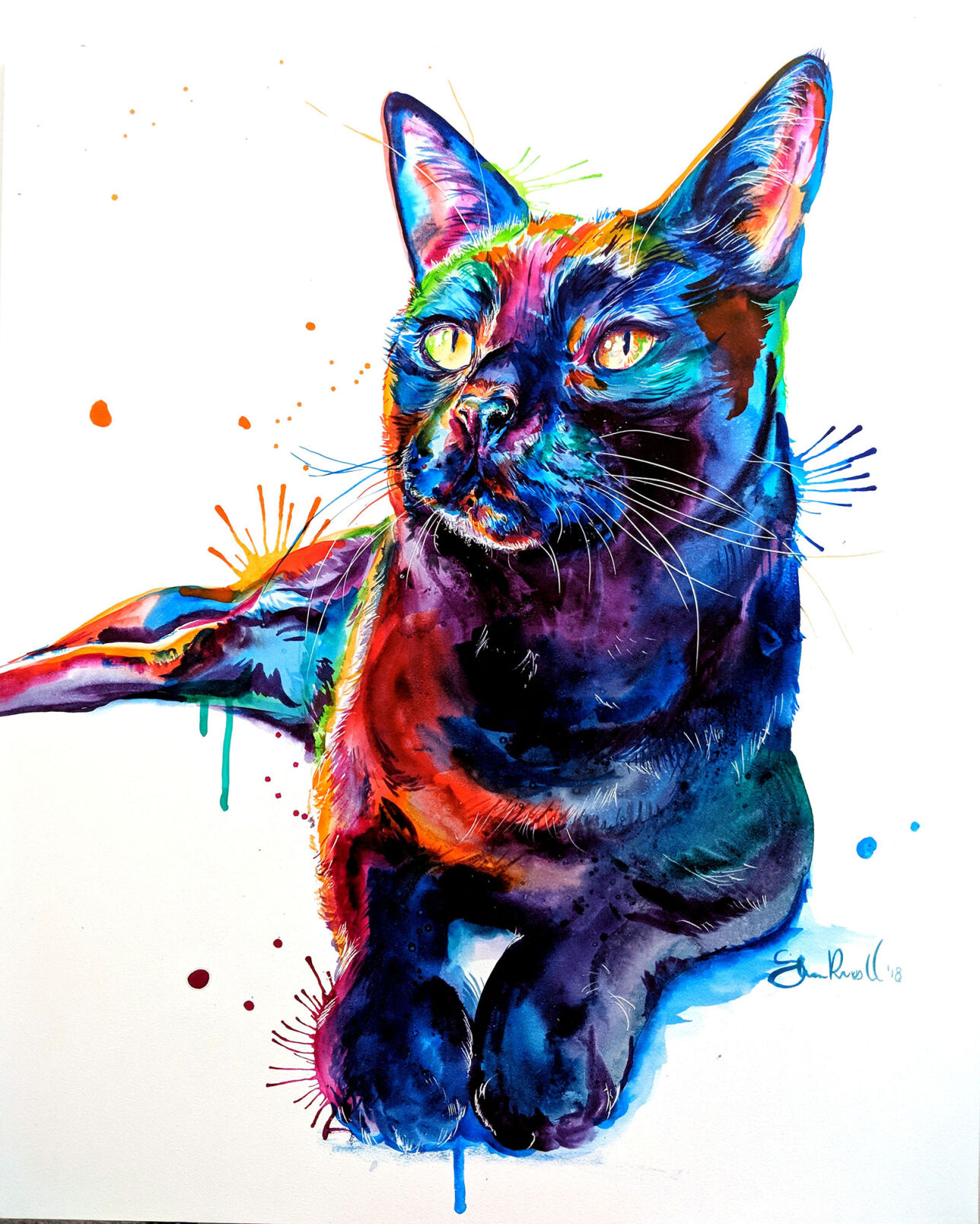 Shaunna-Russell-cat.jpg